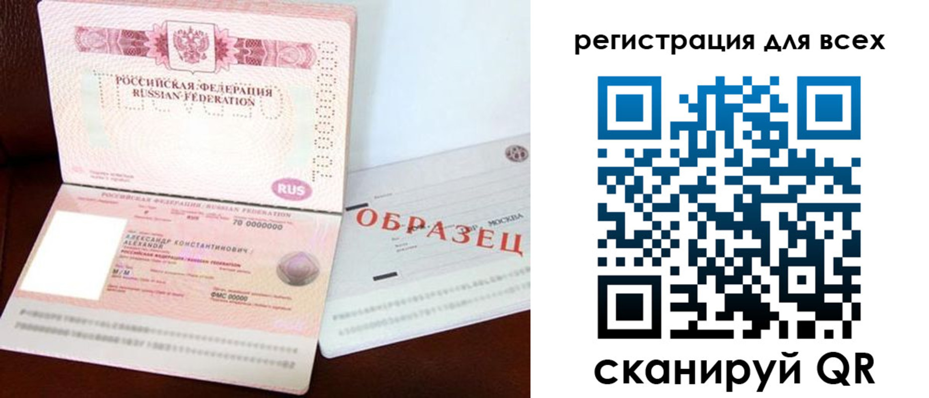прописка гарантия в Светлогорске